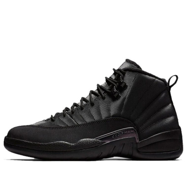 Air Jordan 12 Retro Winterized 'Triple Black' BQ6851-001 | ICNY SPORT